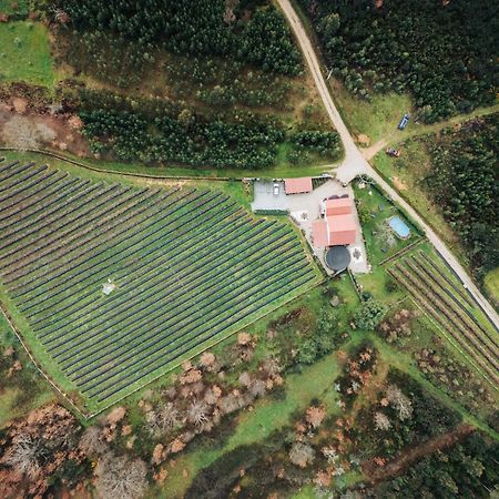 Appartamento Quinta Vale Salgueiro Seia Esterno foto
