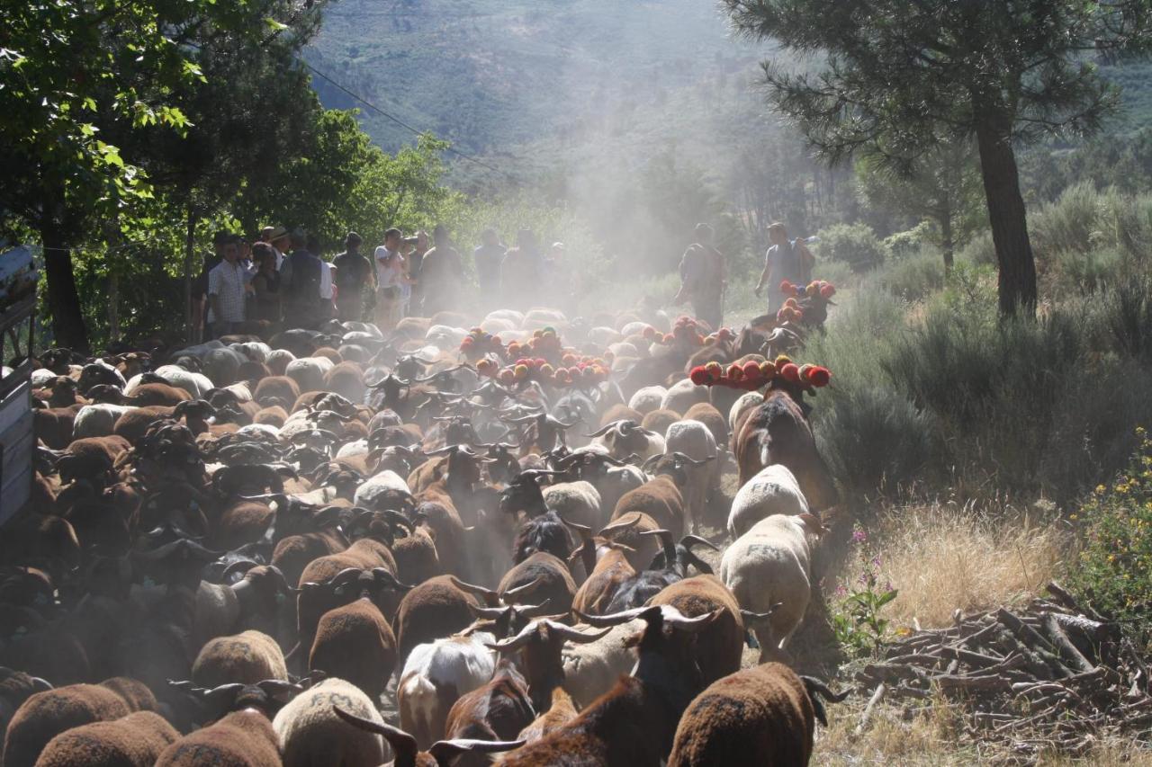 Appartamento Quinta Vale Salgueiro Seia Esterno foto