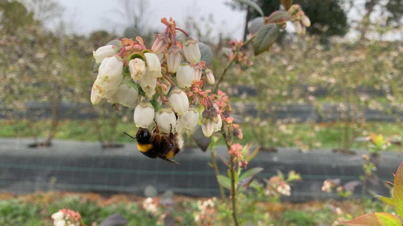 Appartamento Quinta Vale Salgueiro Seia Esterno foto