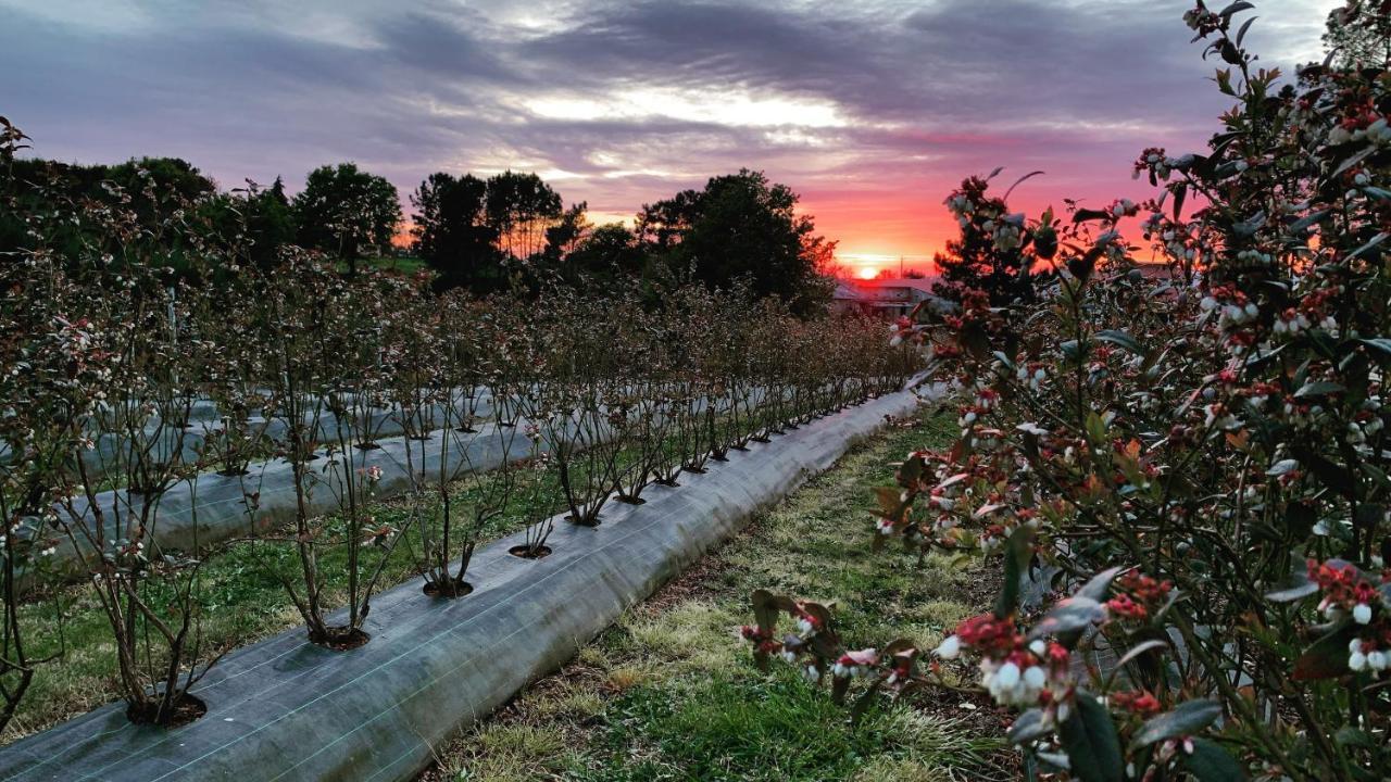 Appartamento Quinta Vale Salgueiro Seia Esterno foto