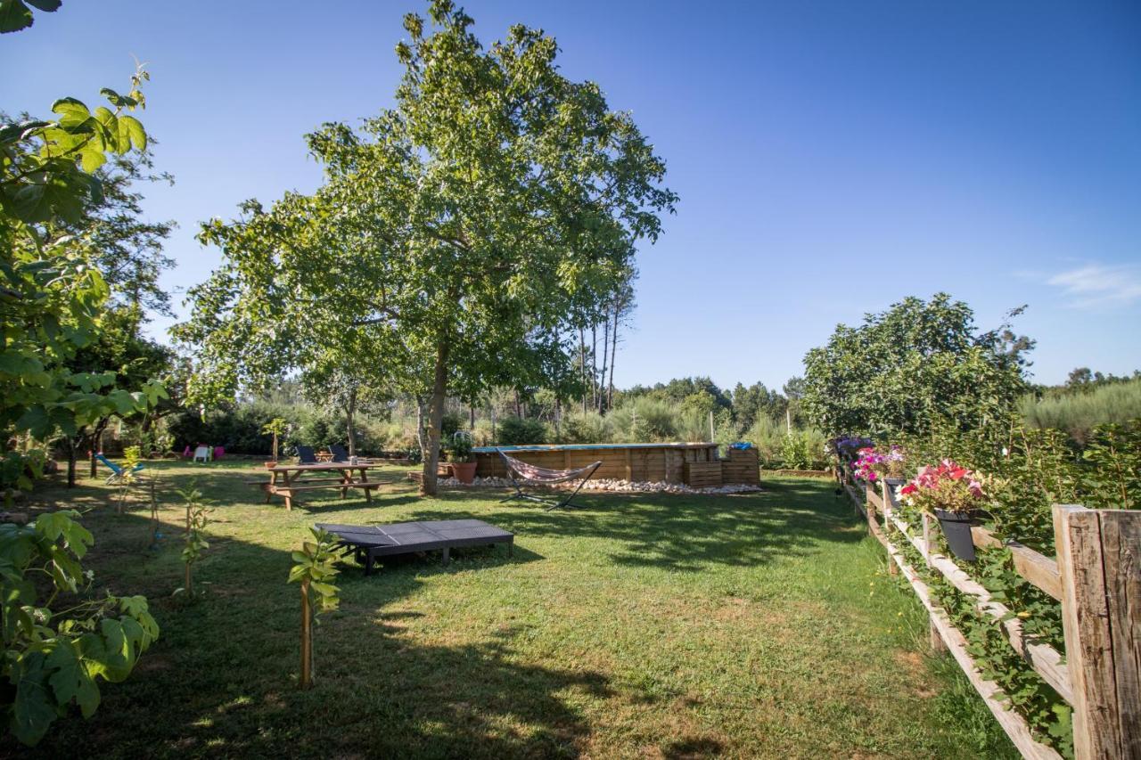 Appartamento Quinta Vale Salgueiro Seia Esterno foto