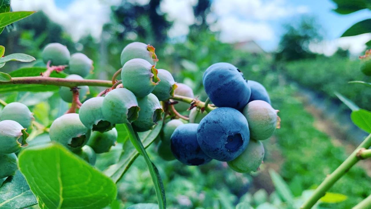 Appartamento Quinta Vale Salgueiro Seia Esterno foto
