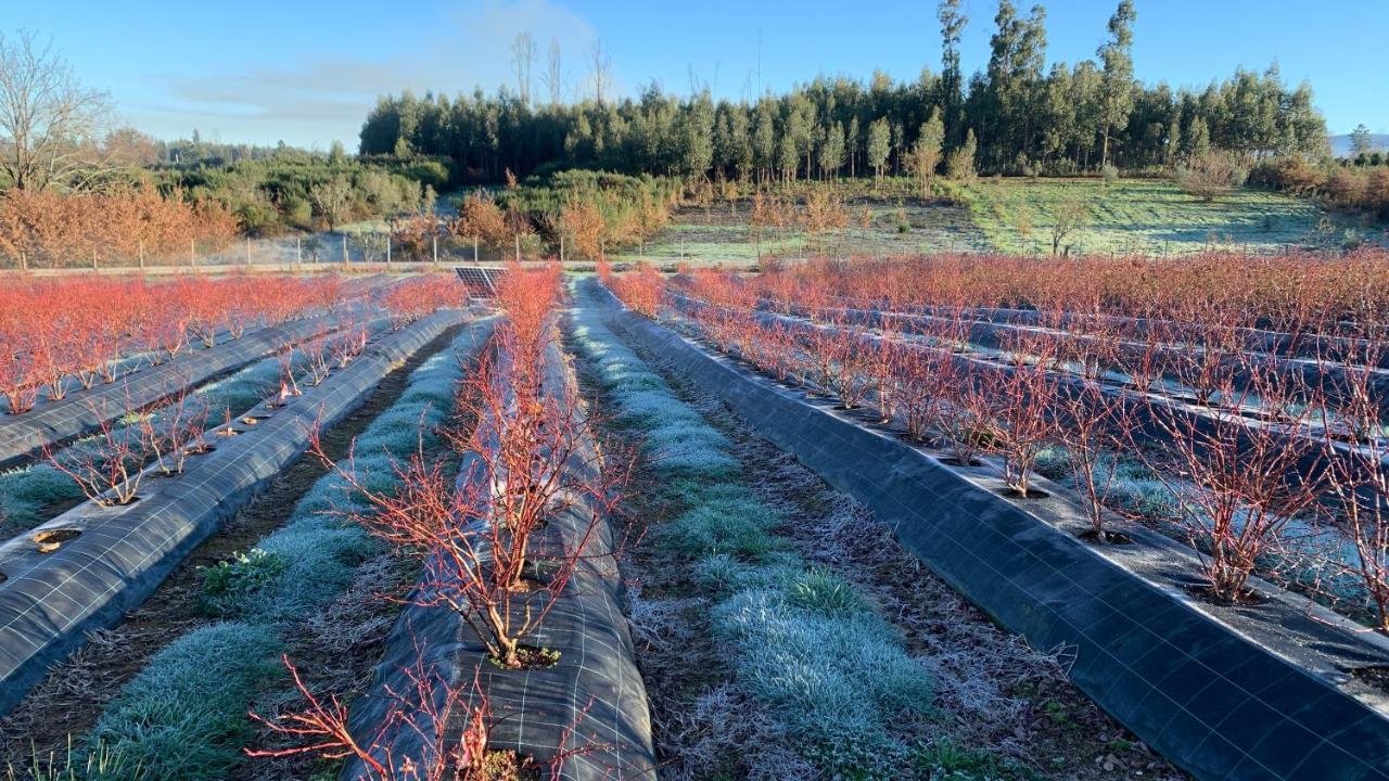 Appartamento Quinta Vale Salgueiro Seia Esterno foto