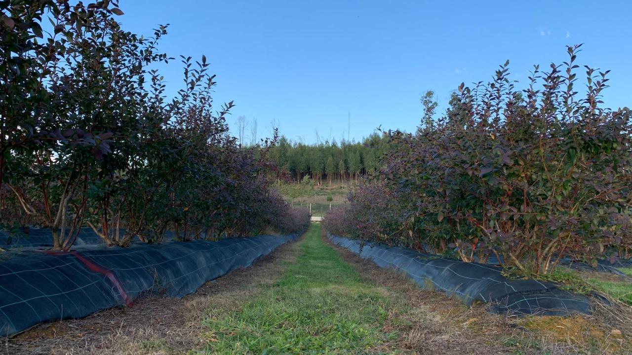 Appartamento Quinta Vale Salgueiro Seia Esterno foto