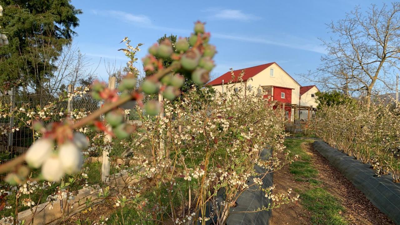 Appartamento Quinta Vale Salgueiro Seia Esterno foto
