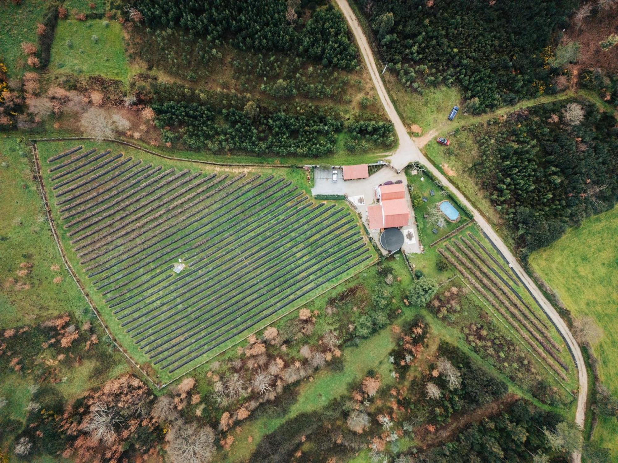 Appartamento Quinta Vale Salgueiro Seia Esterno foto