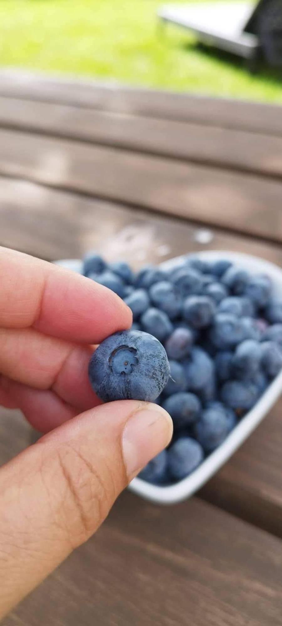 Appartamento Quinta Vale Salgueiro Seia Esterno foto