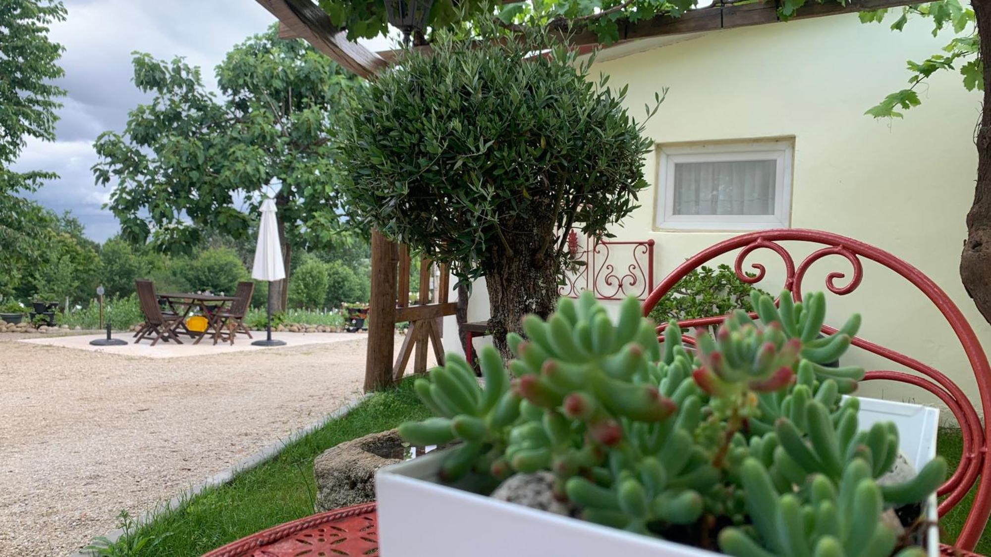 Appartamento Quinta Vale Salgueiro Seia Esterno foto