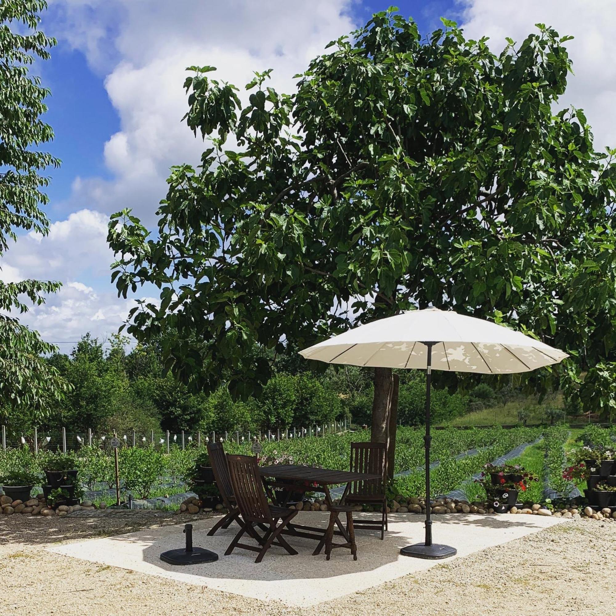Appartamento Quinta Vale Salgueiro Seia Esterno foto